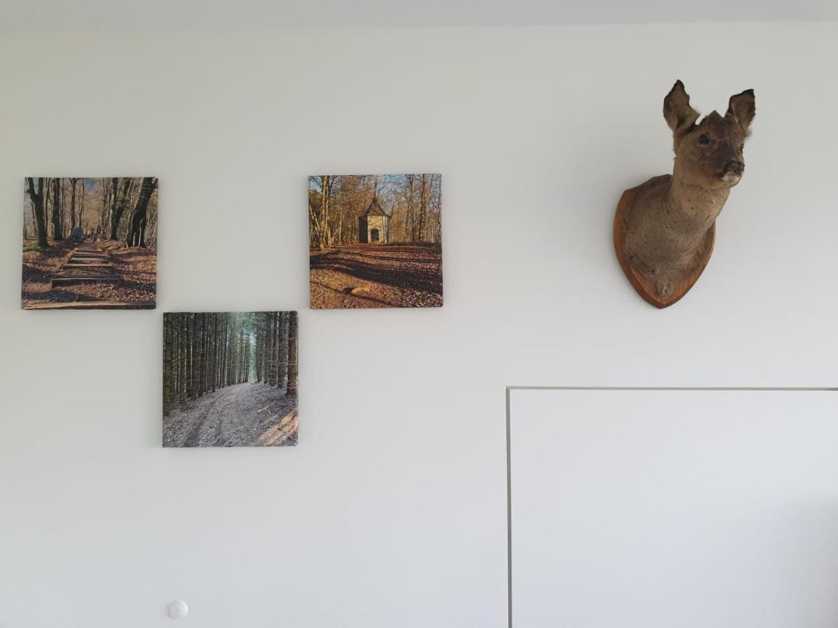 Terrasses De Malmedy - Duplex "Happiness" - Pellet & Airco- Apartment ภายนอก รูปภาพ